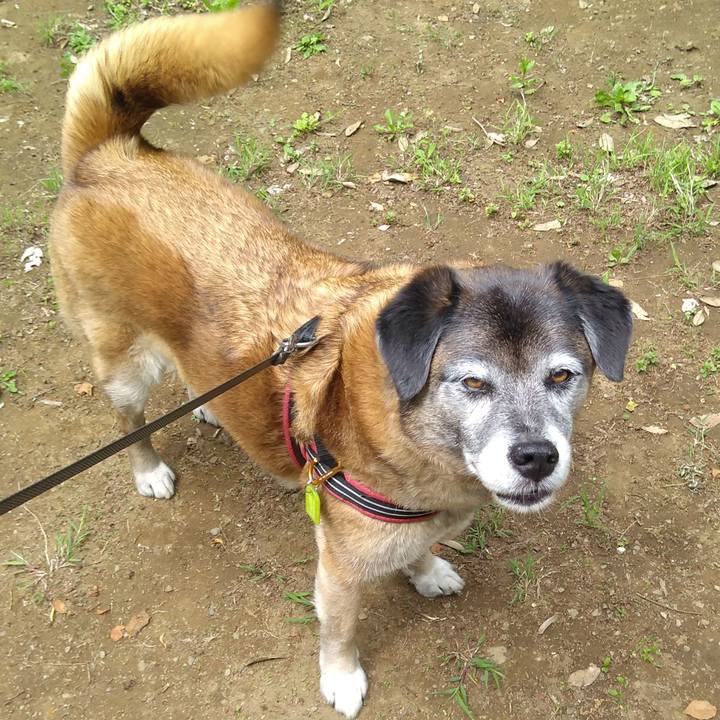 4f881e7a ef7e 49f0 a6cd 6b0432a14dab 1557708098166