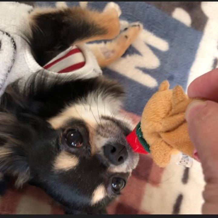 4f88210a 4cbd 4da2 a3f0 4ae0dd71f29d 1548287221091