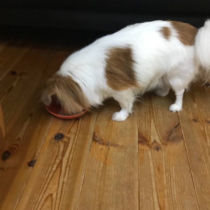 4f888839 f276 4348 9c03 6c85a855ac50 1565684248368