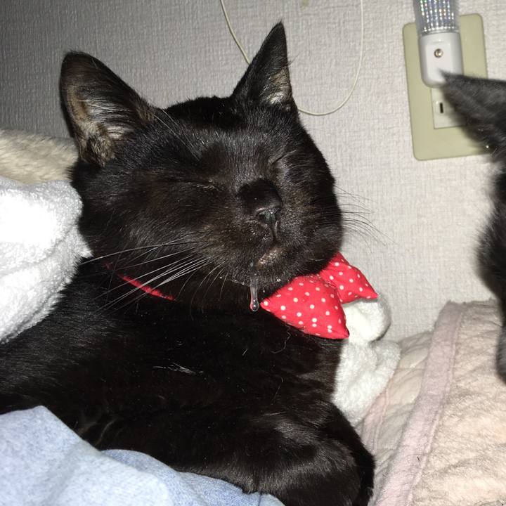 4f88aa28 138d 41ad 812b 52f4bcd3c19d 1551992256286