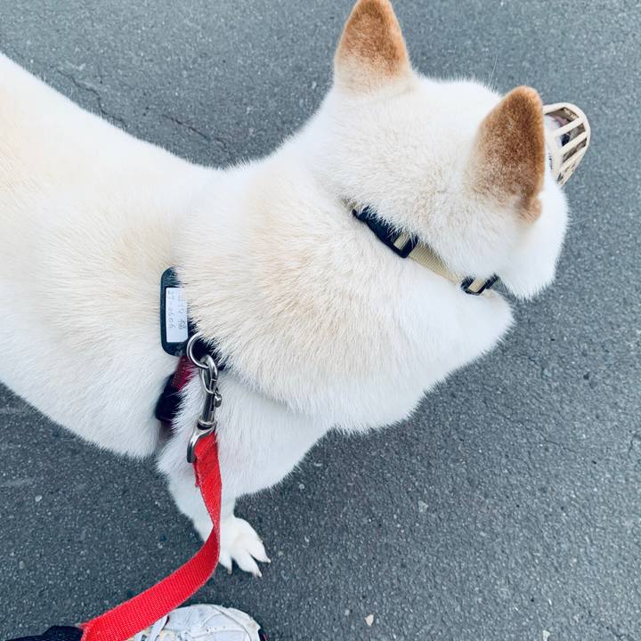 4f88adb4 f635 4103 a298 f9070ef84a6c 1595626567067