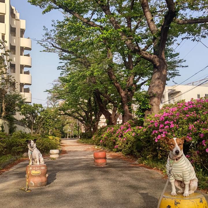 4f88c1aa df32 4c6f bef7 30a8354fd4a0 1681163846884