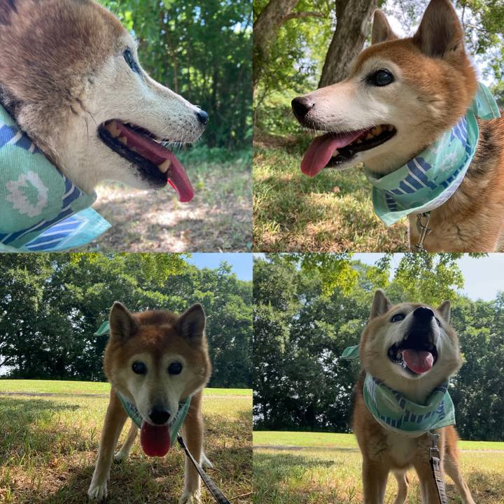 4f88d0d9 c54d 450d 9ec3 9ecef964bba1 1754274616106