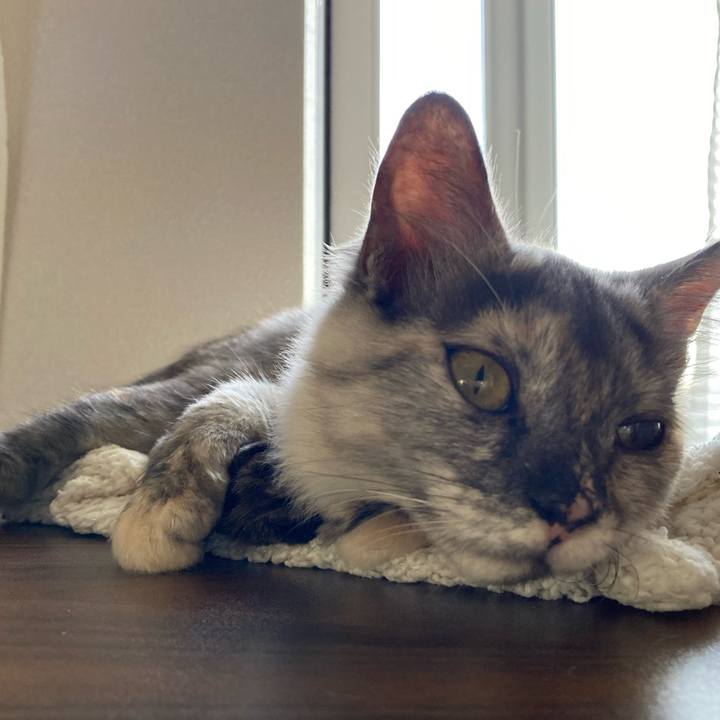 4f88d3b0 5afb 49c9 8e40 eb3fdbf50695 1699059853943