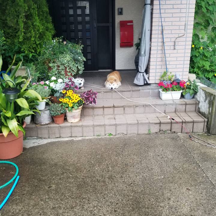 4f88ff33 d272 48d3 91e3 92db93cc8dc6 1658193613429