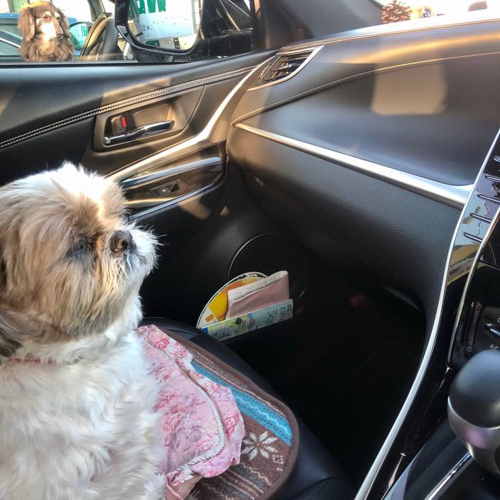 4f890f88 18eb 468c 99a6 cfe09771e7b6 1587198781247