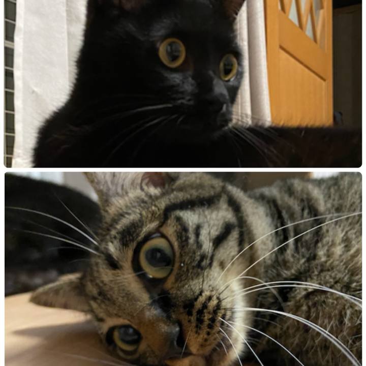 4f892a73 ee86 4259 be45 2b26de55d41c 1629112292076