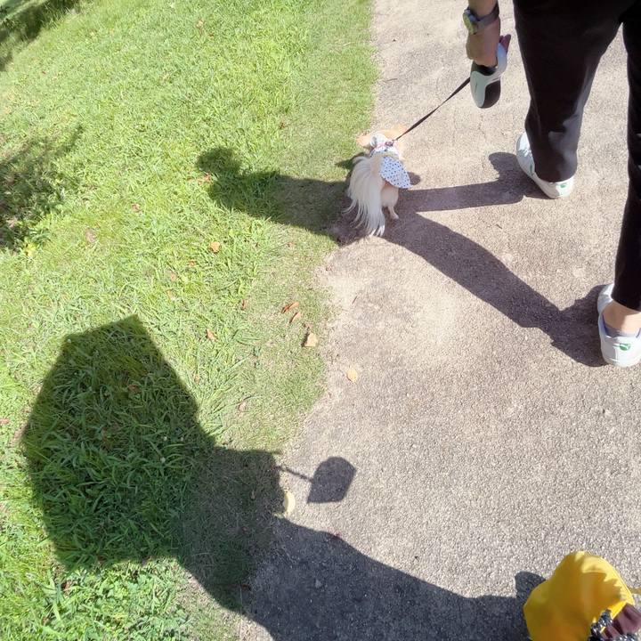 4f892bff 5cf2 4f68 a984 b14a2789f666 1752992811334