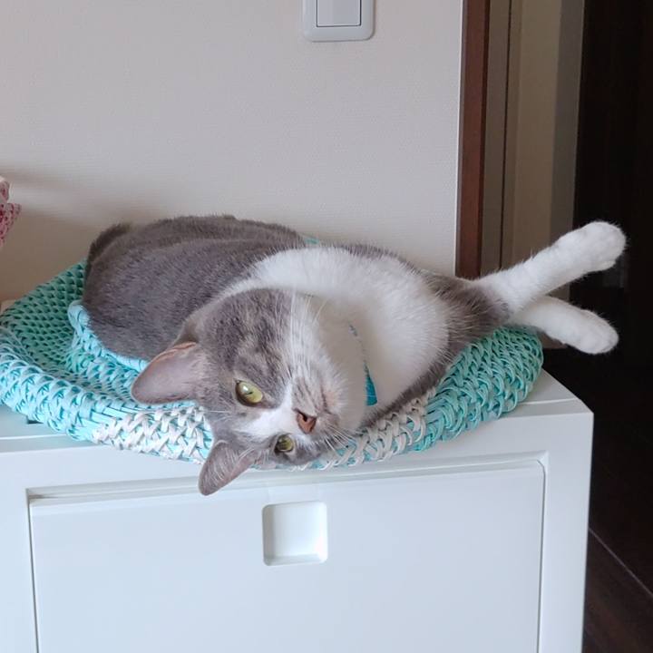 4f893bcd 850f 4ceb aeb5 69eec72bfd8f 1654732473140