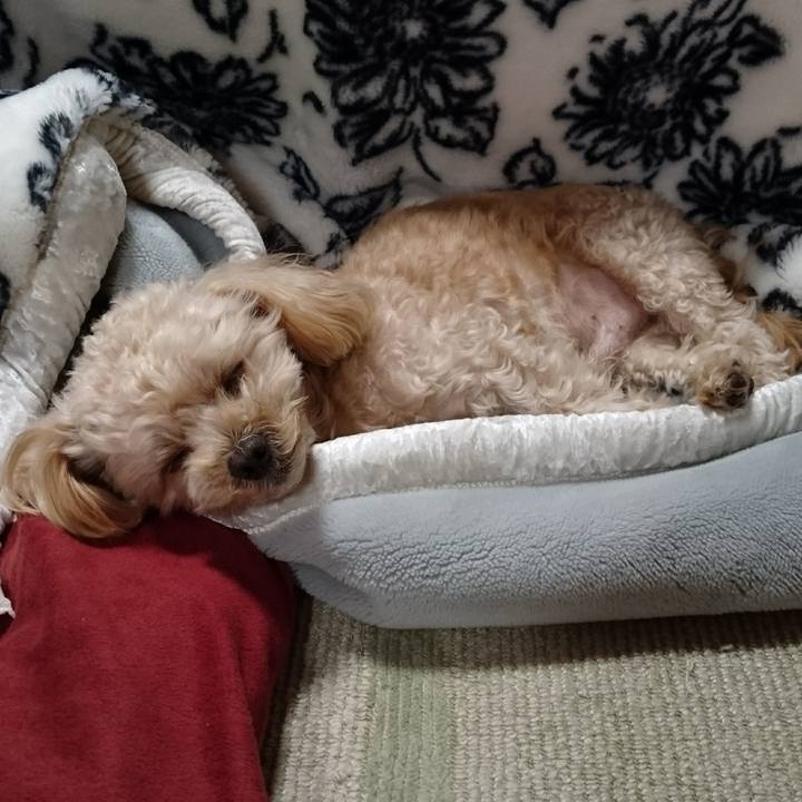 4f8940b0 ea33 46a3 9eff a8d44bb05031 1546952422060