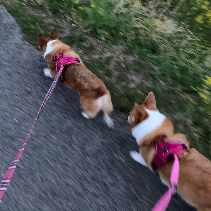 4f8979b4 384b 41fc 9f7d 3b7fa846c1f3 1616236393940