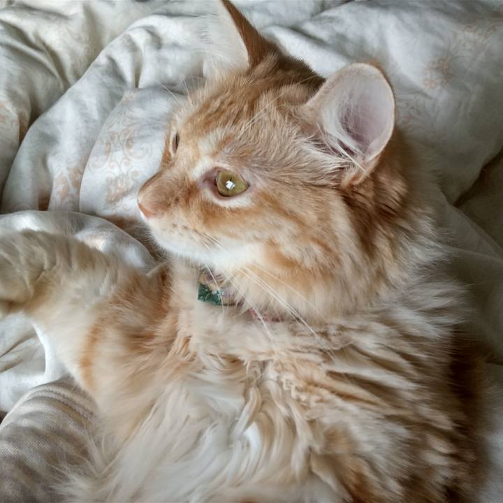 4f89cf2c 4a76 41c4 a531 15f84a5aeba3 1634259625025