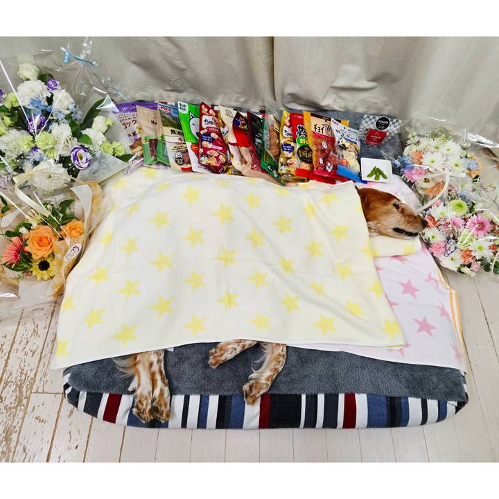 4f8a162e 5622 495b bb39 11b67847d7f9 1753937086906