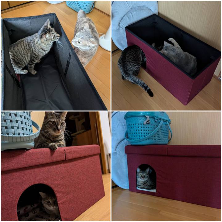 4f8a17ca 4949 4e64 960f 9687526e1a50 1721971600988