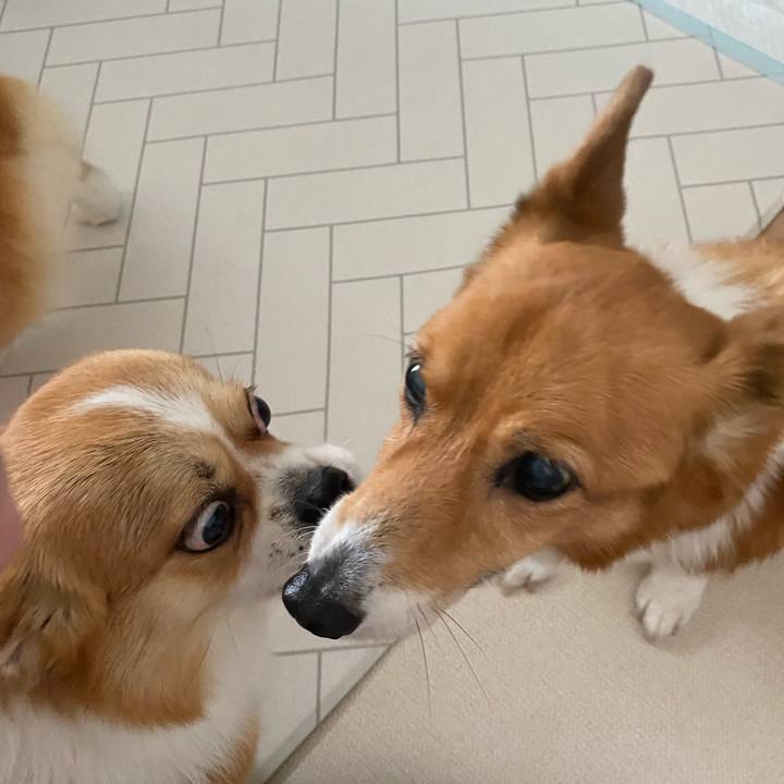 4f8a250a b845 41e8 9f3d 4bac73d745bf 1758121450770