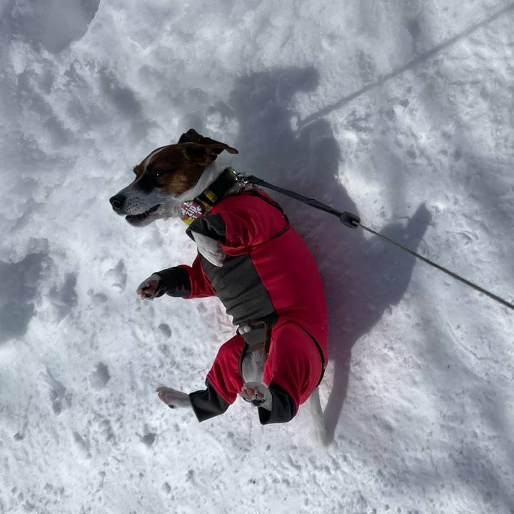 4f8a4e8a 0e0b 479b 825c e1604322e8a7 1645938028746