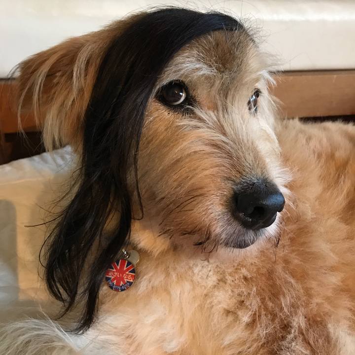 4f8a515d 8f51 4540 b5cc b9c0626dbdb0 1659002723585