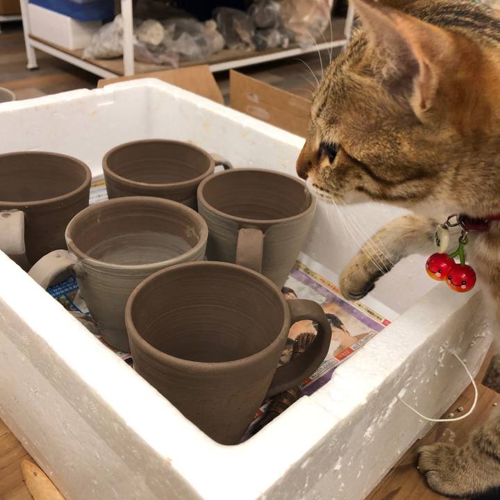 4f8a755f 48d1 4ada 90af f045c3b0cfed 1588312303558