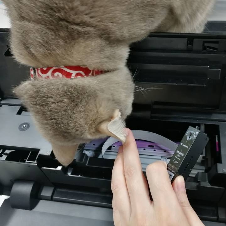 4f8a8138 0964 4225 8f18 db9ff39f1000 1545812481462