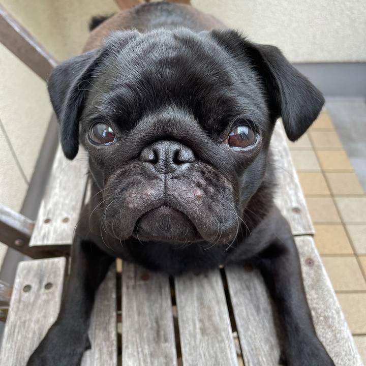 4f8a8eb3 6b18 43cd 8983 98e69c2cc3fc 1617428148206