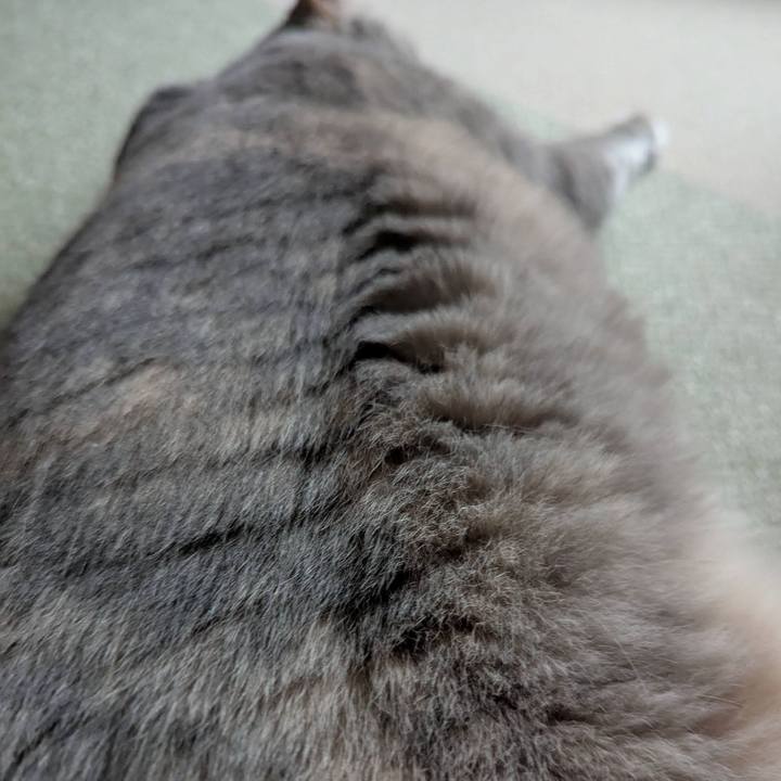 4f8a9703 daa5 4a34 9179 fe77582dd8af 1750662363363