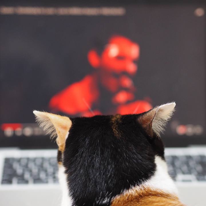 4f8aacec 0492 4749 81bc af10eb369dd3 1555246144941