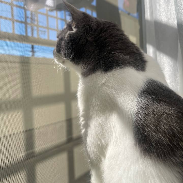 4f8ad431 6c45 4e10 b5e5 edaaa3f8f631 1732411615790