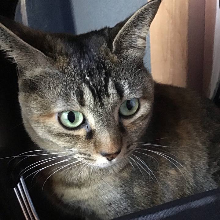 4f8b1eae f3a8 442f b6bc 61b66329580a 1703836564749