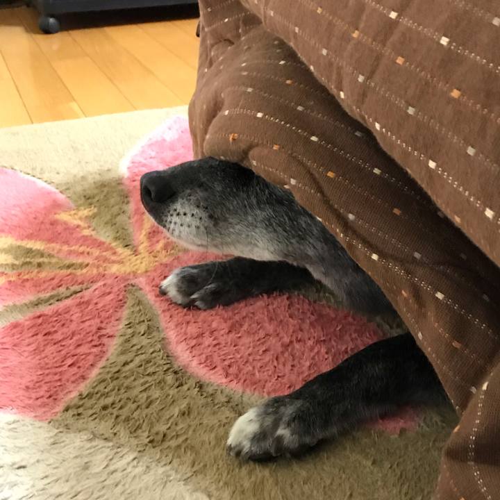 4f8b3a59 a8fe 4474 85c4 eaf8ea849b99 1555678679482