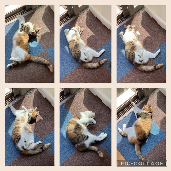 4f8b3d71 8adc 4d71 b308 8f824f61f550 1661142635529