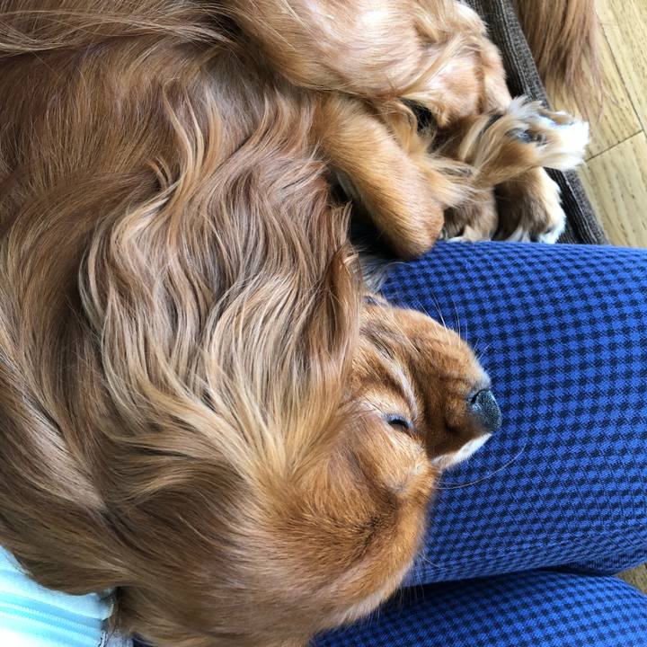 4f8b592a fbf3 4637 bd4a 4a2250f141d8 1529742082691