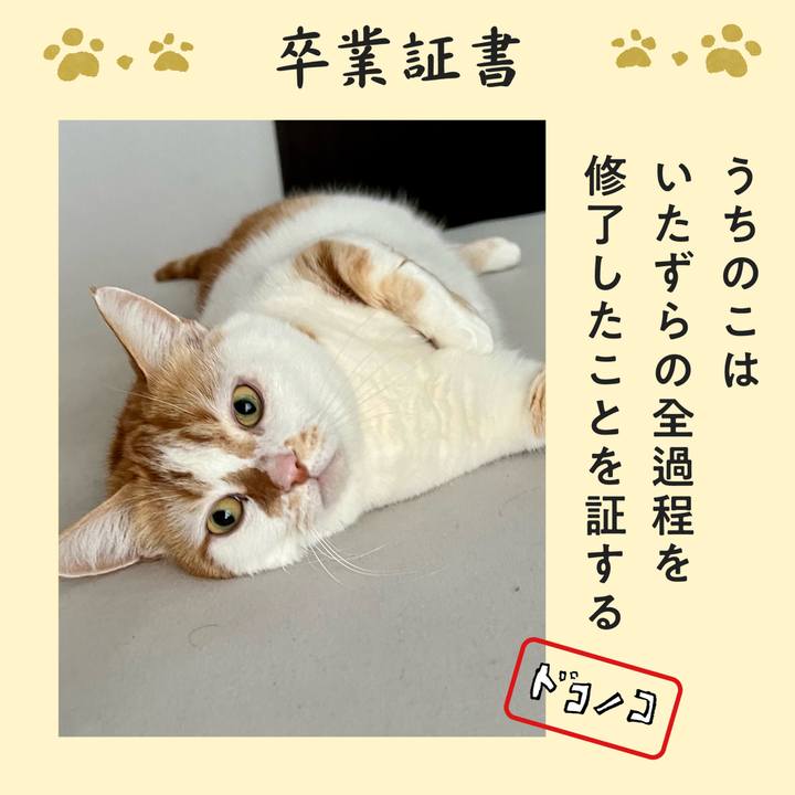 4f8ba70b 80b4 495b b618 e35871217d7d 1771817995572