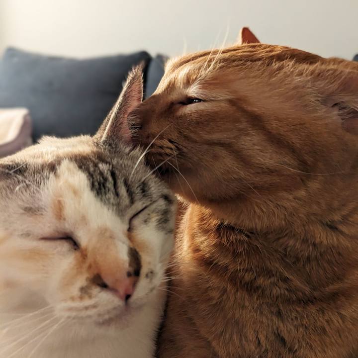 4f8bbe66 3c36 416e 915b c61f6ab6df4e 1744015103499