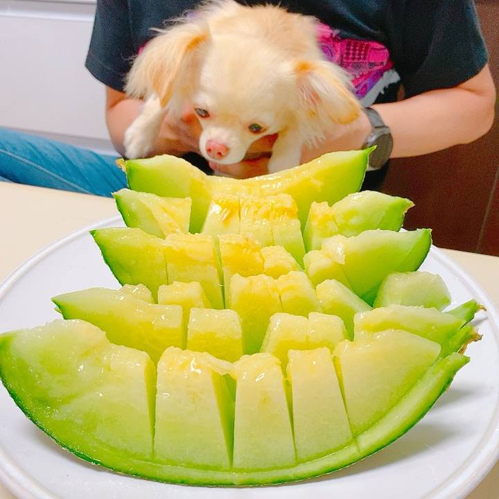 4f8be517 8dc9 4b72 8a3f df811607b2d7 1626079537200