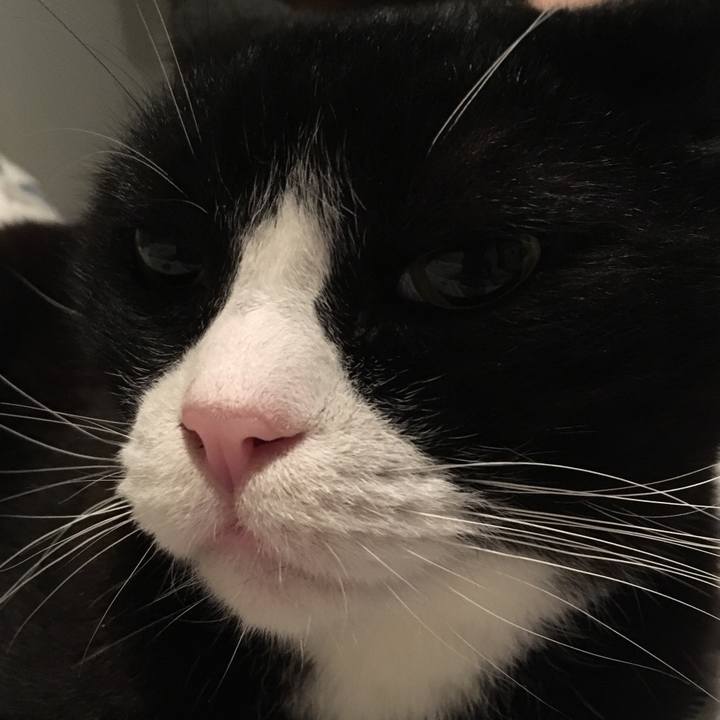 4f8bf15d ccc1 4054 8a2e 9bcb30954ca9 1527775514061