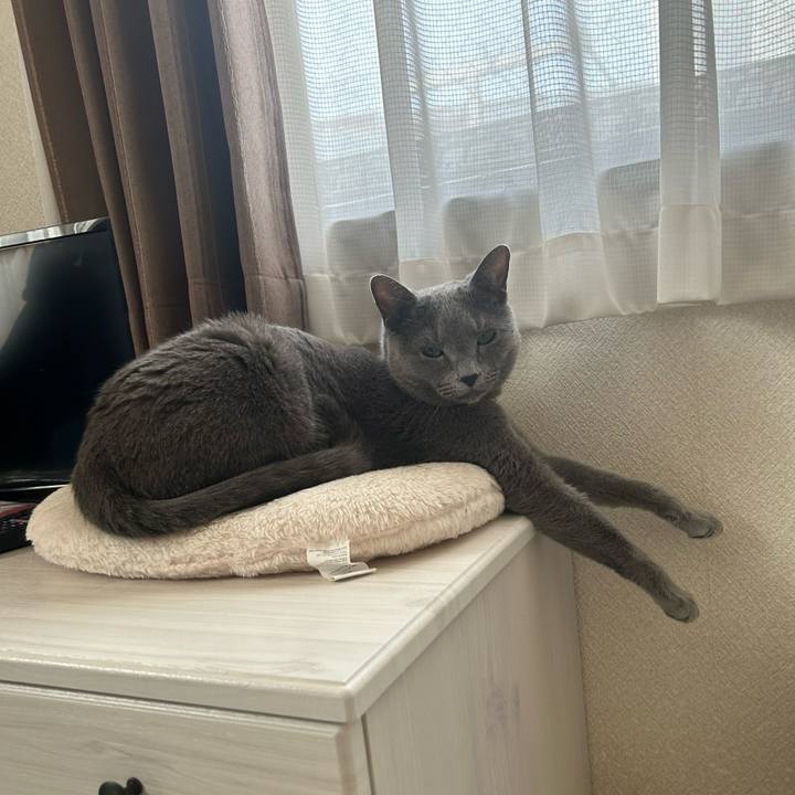 4f8bf49f 1305 42c0 b543 929758246f81 1712751065000