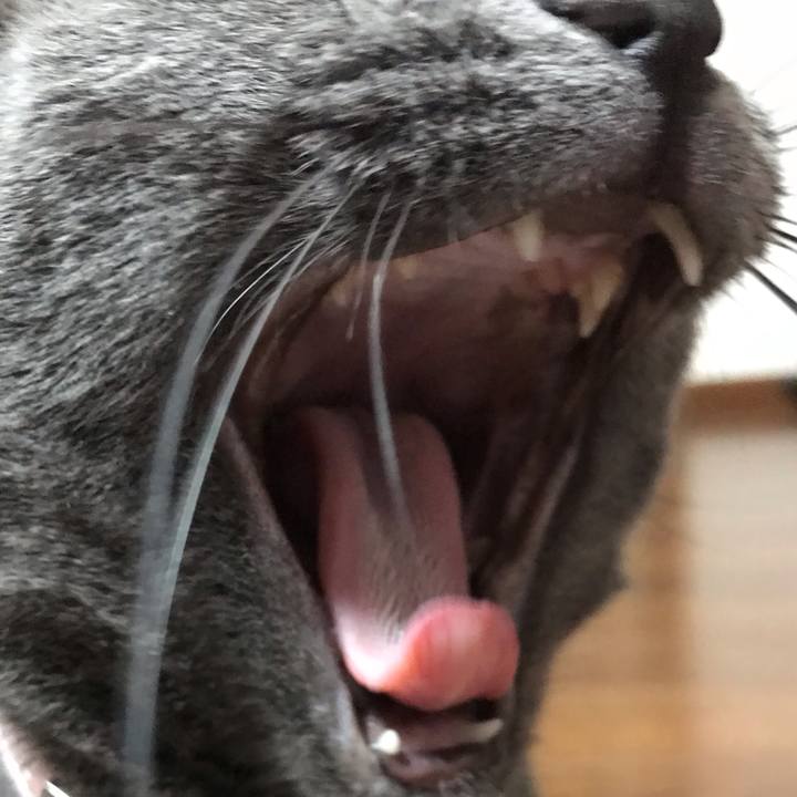 4f8c0eb9 73f9 406b b469 3be4c5e3382c 1564827813076