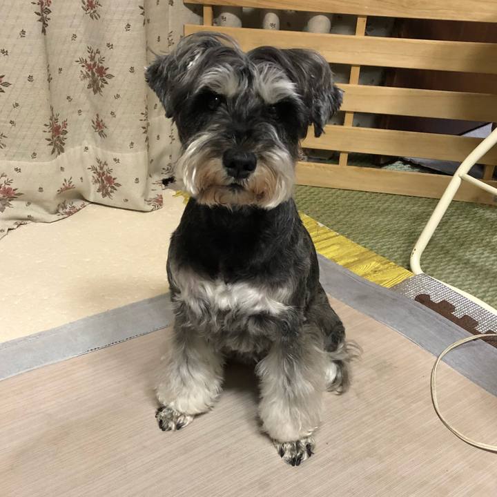 4f8cd590 88ca 47b4 aa39 c2a1ff95e63d 1650022560827