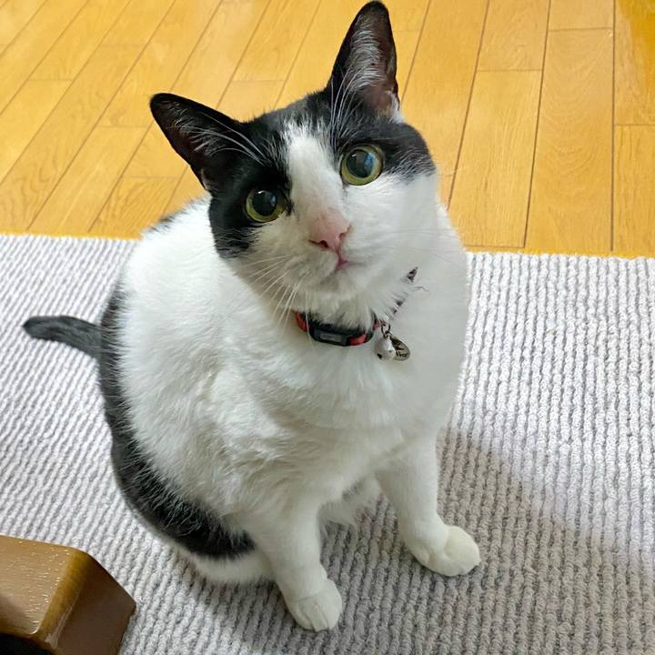 4f8d1a77 3dc7 489e b313 ac8b15daab9d 1765008822122