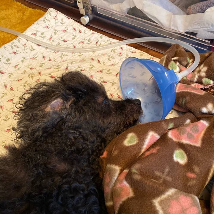 4f8d1b33 4d9b 41a5 a967 40aeeafe1180 1602727228504