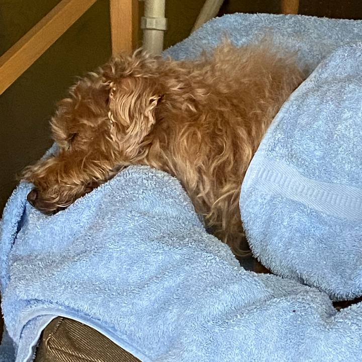 4f8d1d75 fa56 4c1f a802 12d9a57beda5 1679284827669