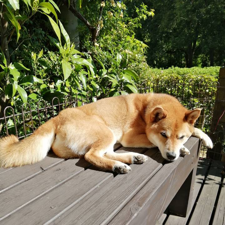 4f8d2225 b357 4a3b 85ee 5f56b0c6844f 1588925620711