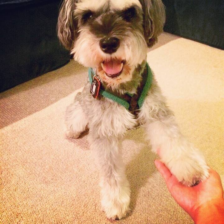 4f8d2fee 24b2 462d 93c8 c9e247c1f5fb 1535907597743