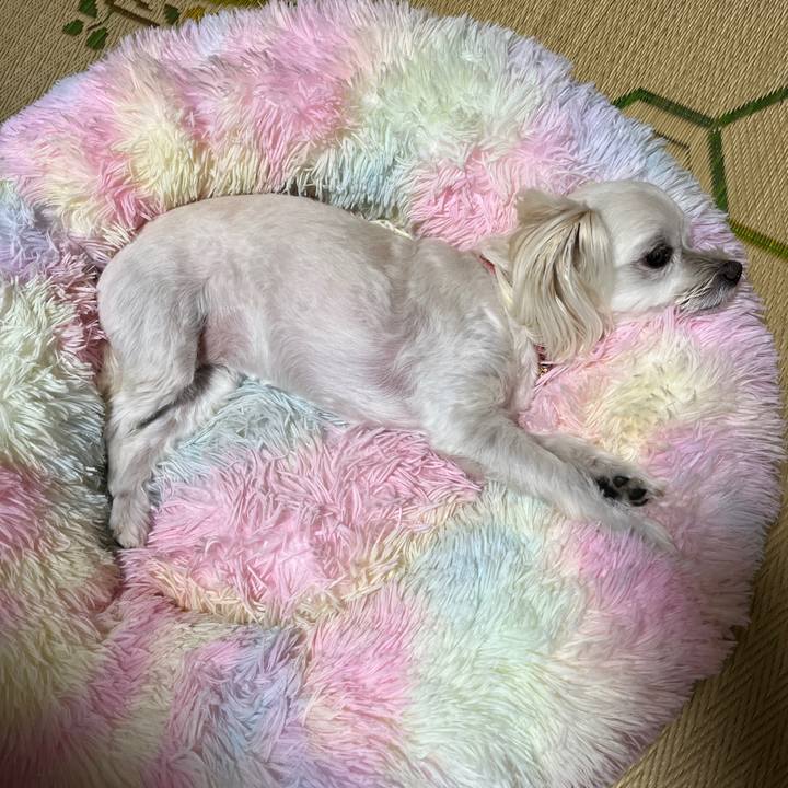 4f8d66b3 8cba 4303 b7d9 43821dccac1b 1694521737153