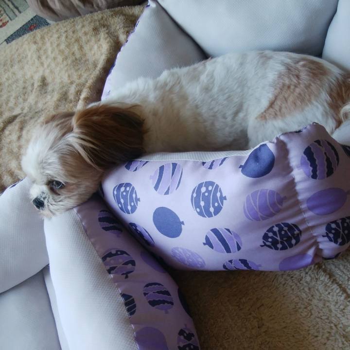 4f8dafff ccd2 4e6c a870 fb2b2417fc48 1564449104615