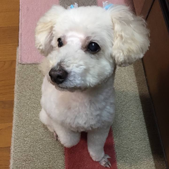 4f8dc17e c1c9 41f4 a276 be0709c7bdda 1509029697223