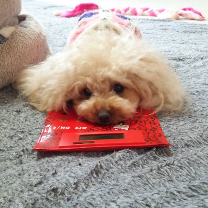 4f8dcd03 31e0 414b b741 1010f506f8d0 1514505192595