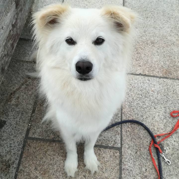 4f8dce2f e0b8 4ea9 a525 0e65d13d7ca7 1529311375795