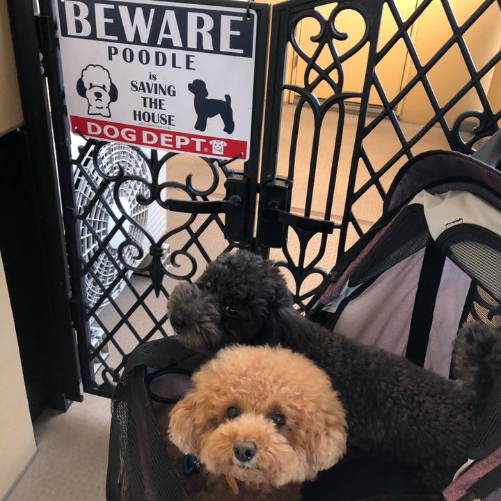 4f8dd272 43e1 4036 b1aa b397159f51d4 1601283816026