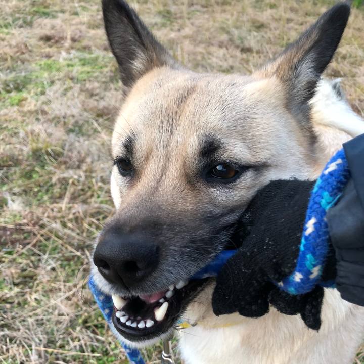 4f8e0127 879b 42bb 82e1 2f9062cbc72c 1550058346103